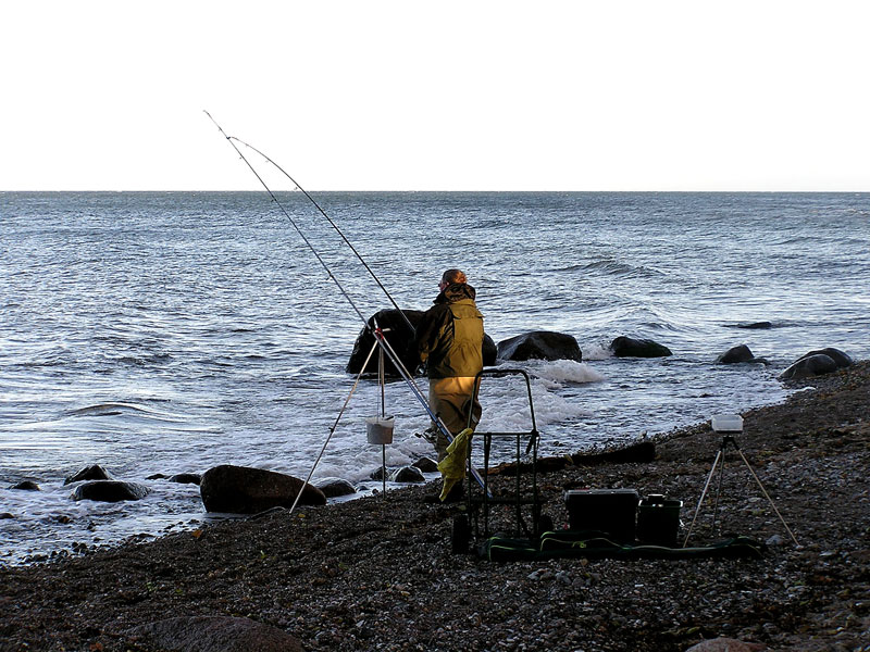 angler-110015_800px.jpg