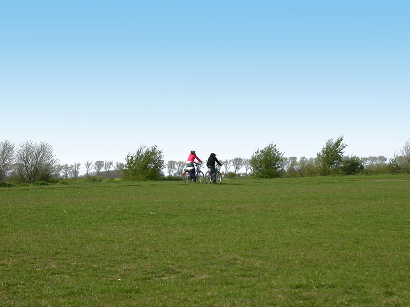 radler-5111_800px.jpg